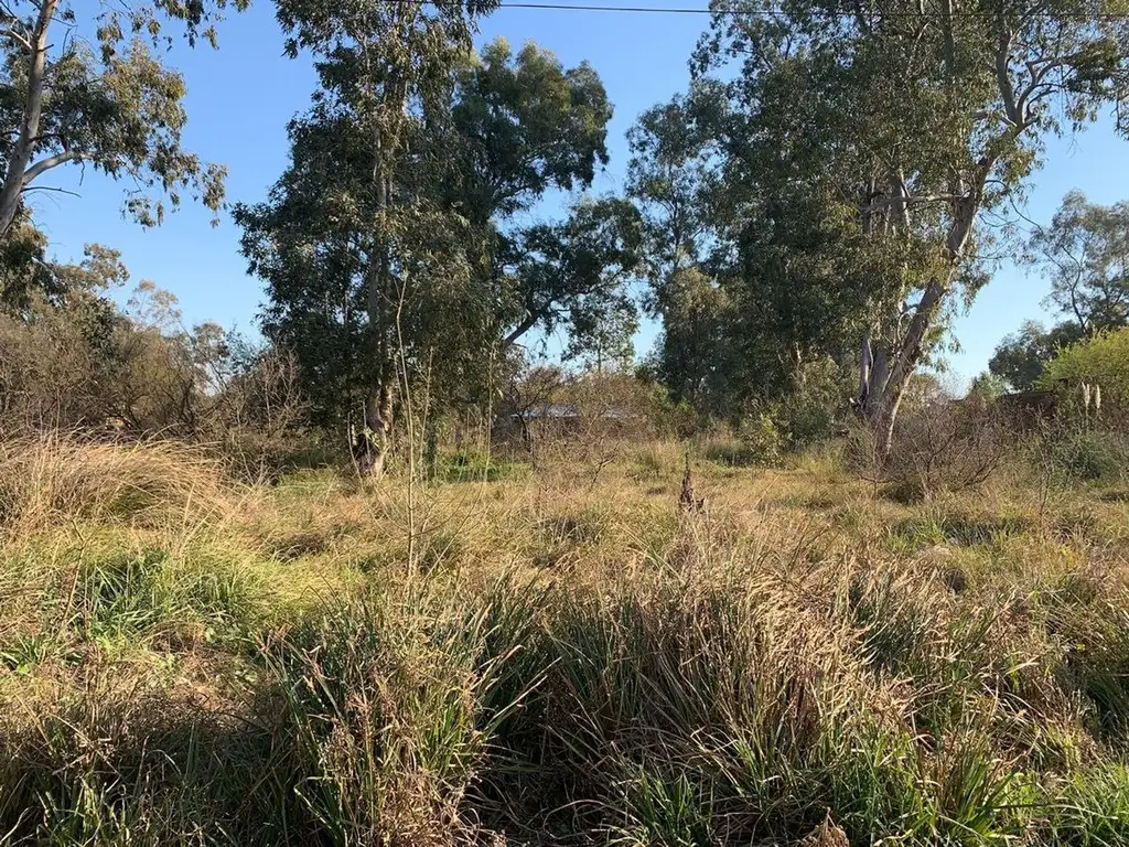 TERRENO EN ARROYO LEYES