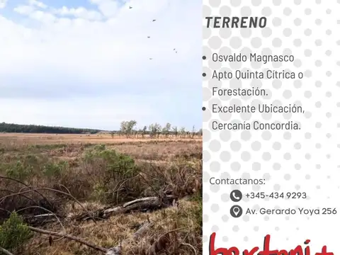 ESPECTACULAR CAMPO EN VENTA!