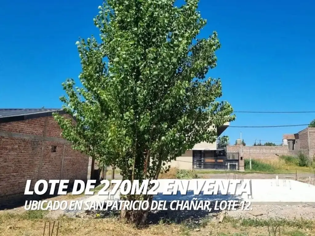 VENTA DE TERRENO EN SAN PATRICIO DEL CHAÑAR