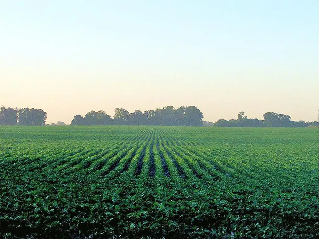 22 ha Agricolas Chovet