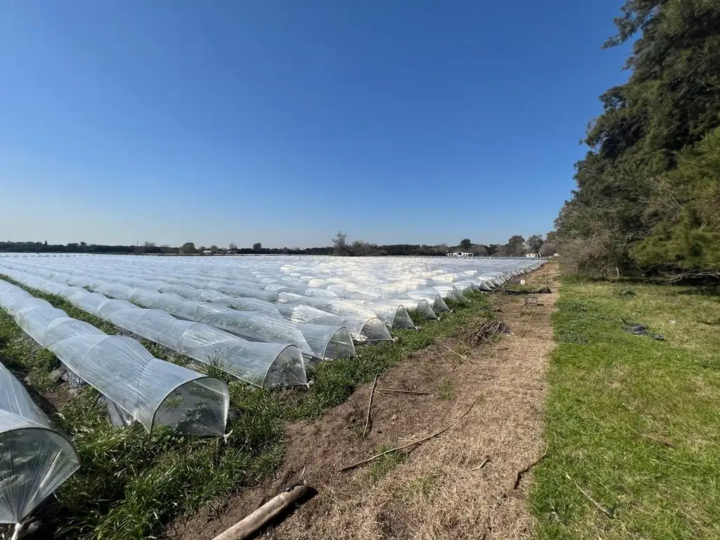 Campo - Venta - Argentina, Florencio Varela