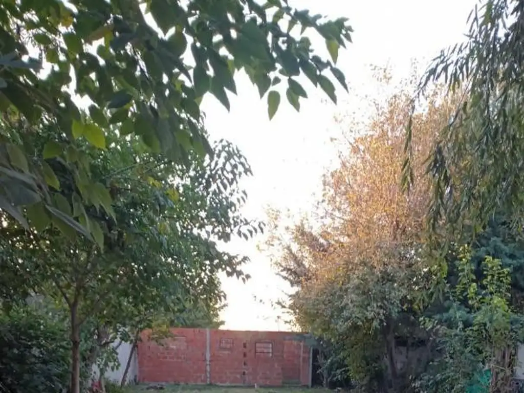 Lote con mejoras