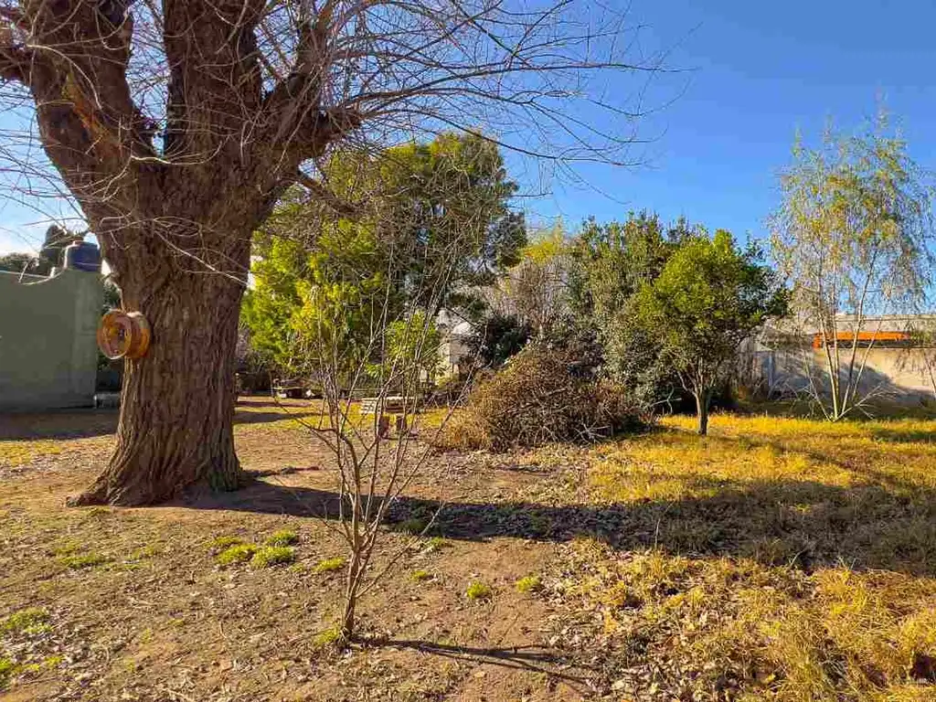 VENTA CASA A RECICLAR CON AMPLIO LOTE TANDIL