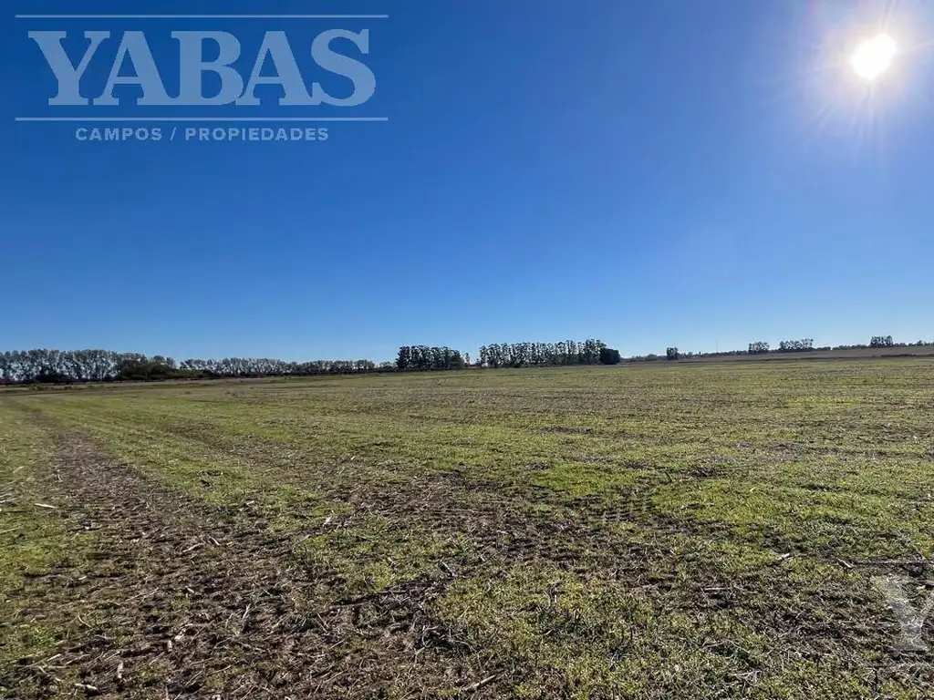 VENTA  - CAMPO - 158 HECTAREAS - San Pedro