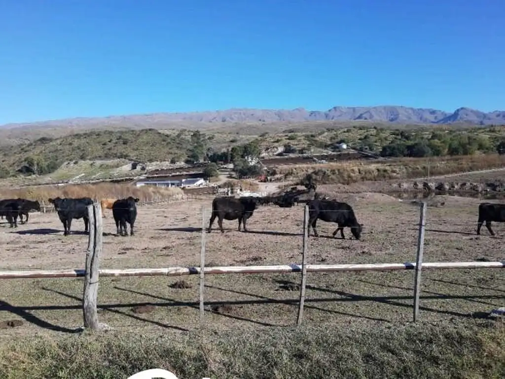 Terreno Campo  en Venta en San Luis Capital, San Luis, Argentina