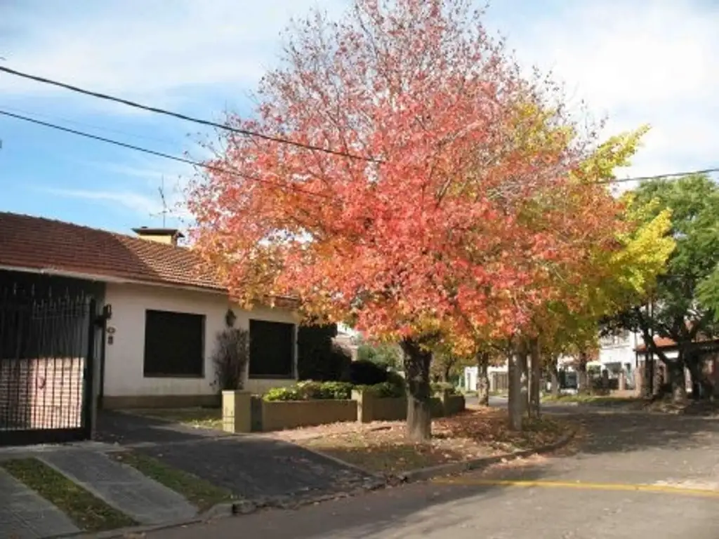 CASA TIPO CHALET EN ADROGUÉ