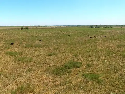 Campo en venta en Villa Ocampo Santa Fe