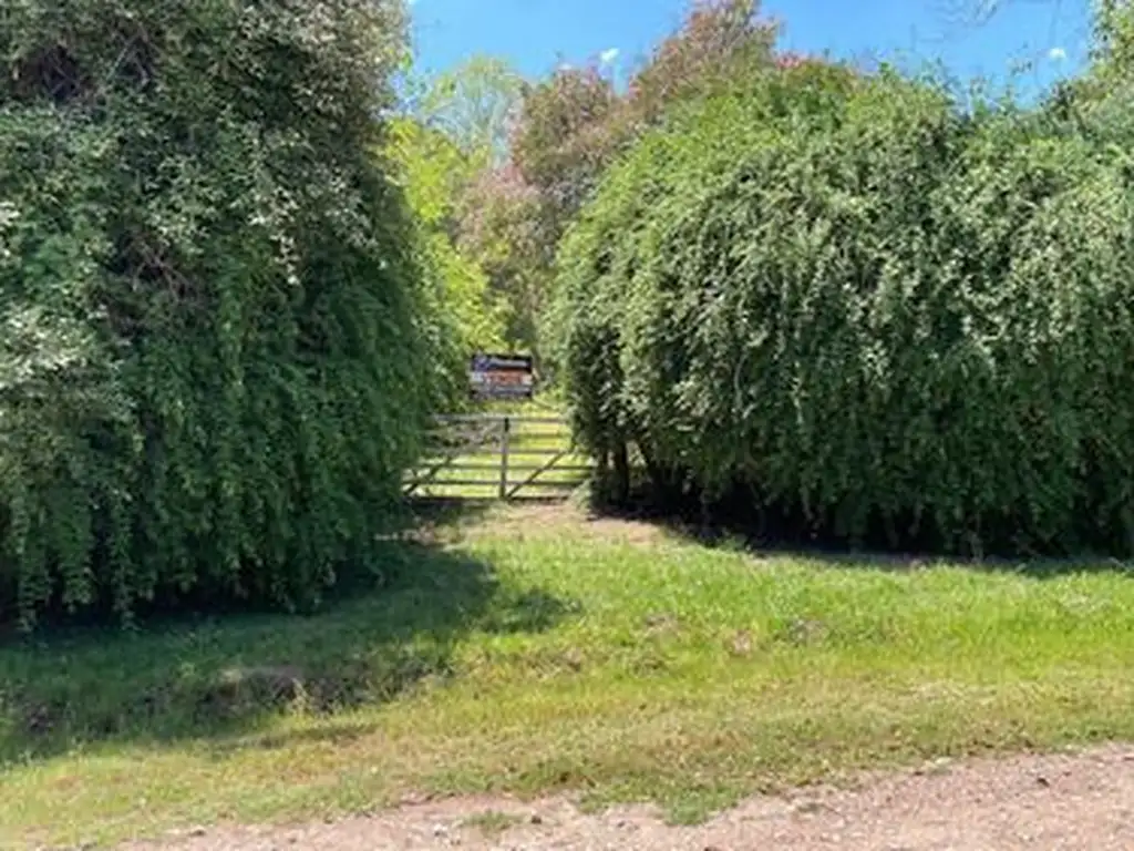 Terreno En Venta. Loma Verde.