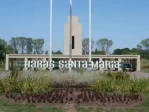 Terreno en Venta en Haras Santa Maria