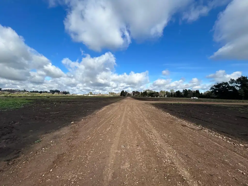 Lotes en venta, Barrio parque Altos El Ombu, Cardales