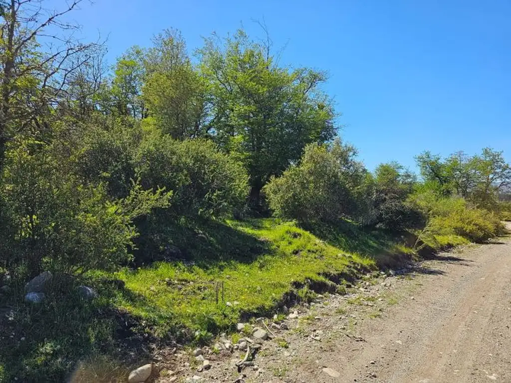 HERMOSO TERRENO EN SECCION LAGO LEZANA -CHOLILA-CHUBUT