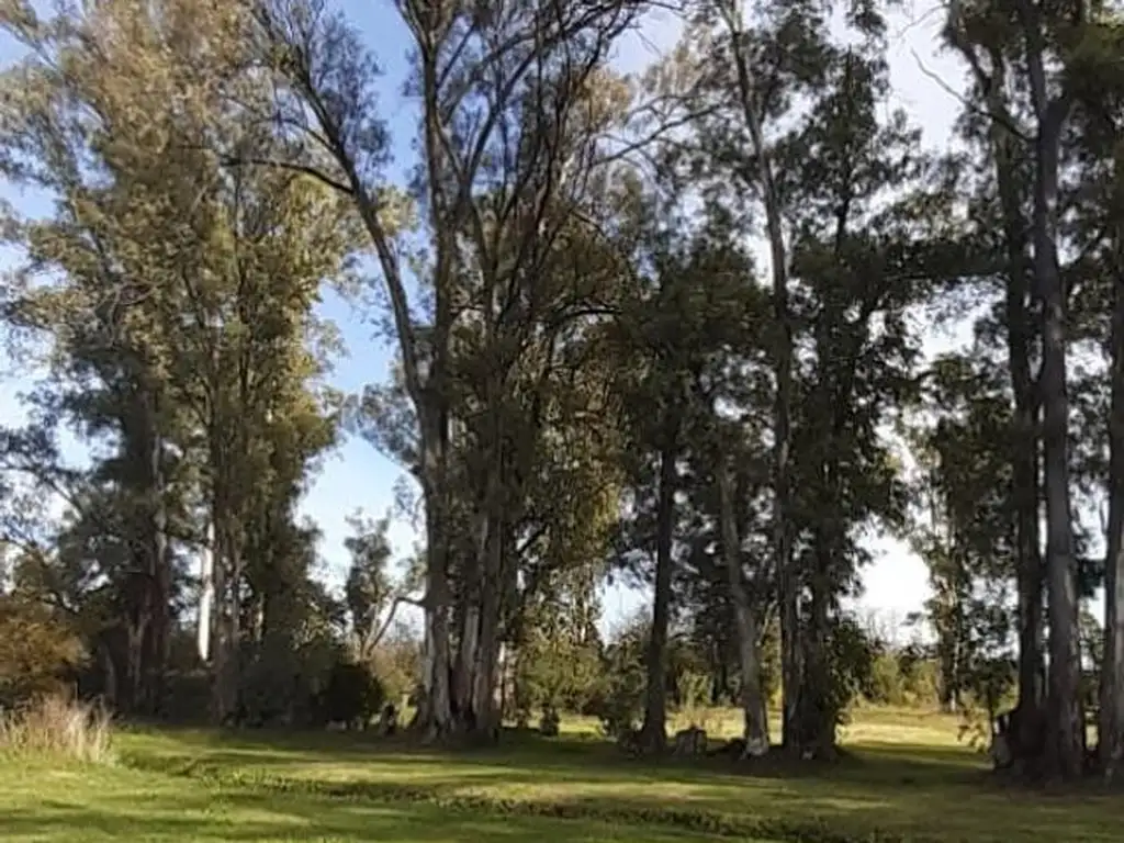 Excelente lote de 2000 mts2, sobre asfalto, muy lindo lugar.