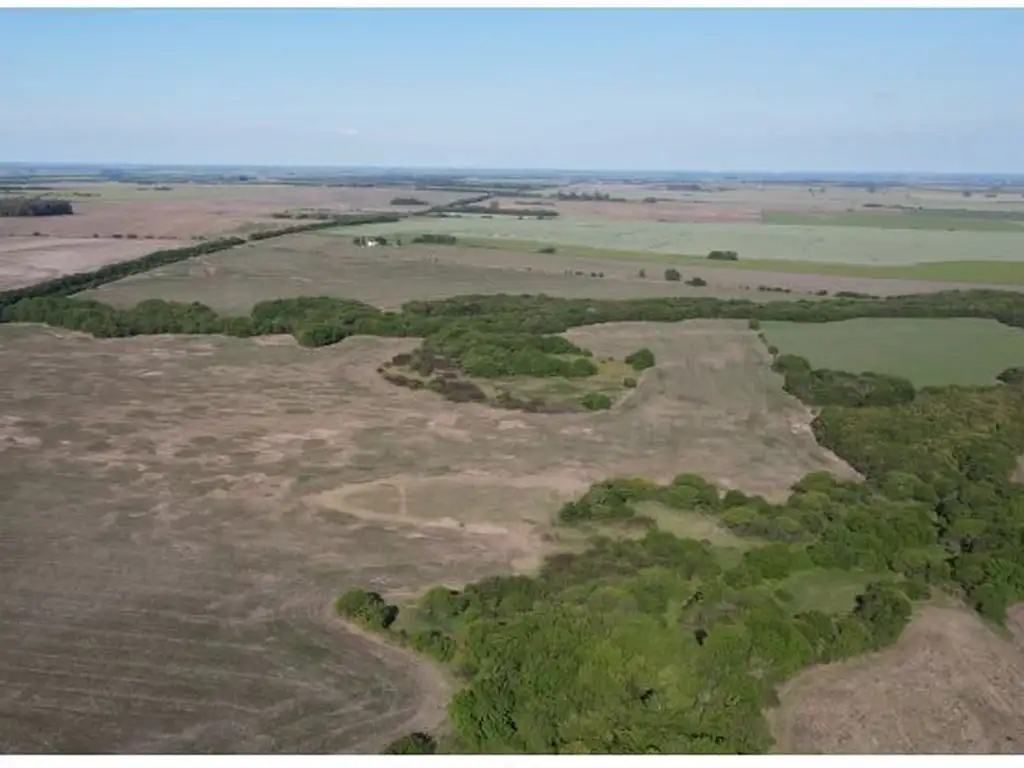 Campo de 75 hectáreas - Laguna del Pescado