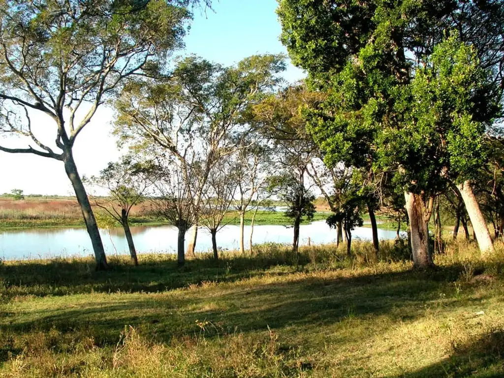 Terreno con bajada al río.