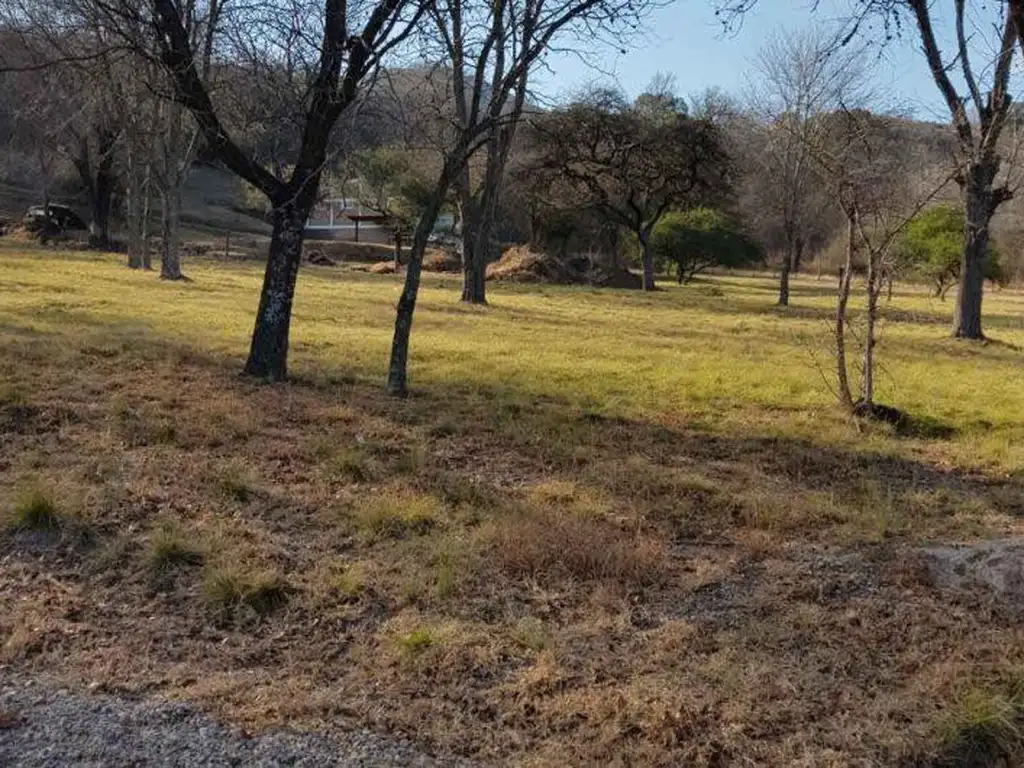 TERRENO. VENTA. SOBRE RUTA N° 5. SANTA ROSA DE CALAMUCHITA. Cód (2167)