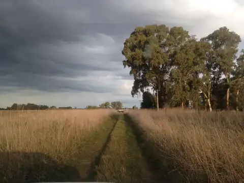 Campo 30HA apto para cualquier destino