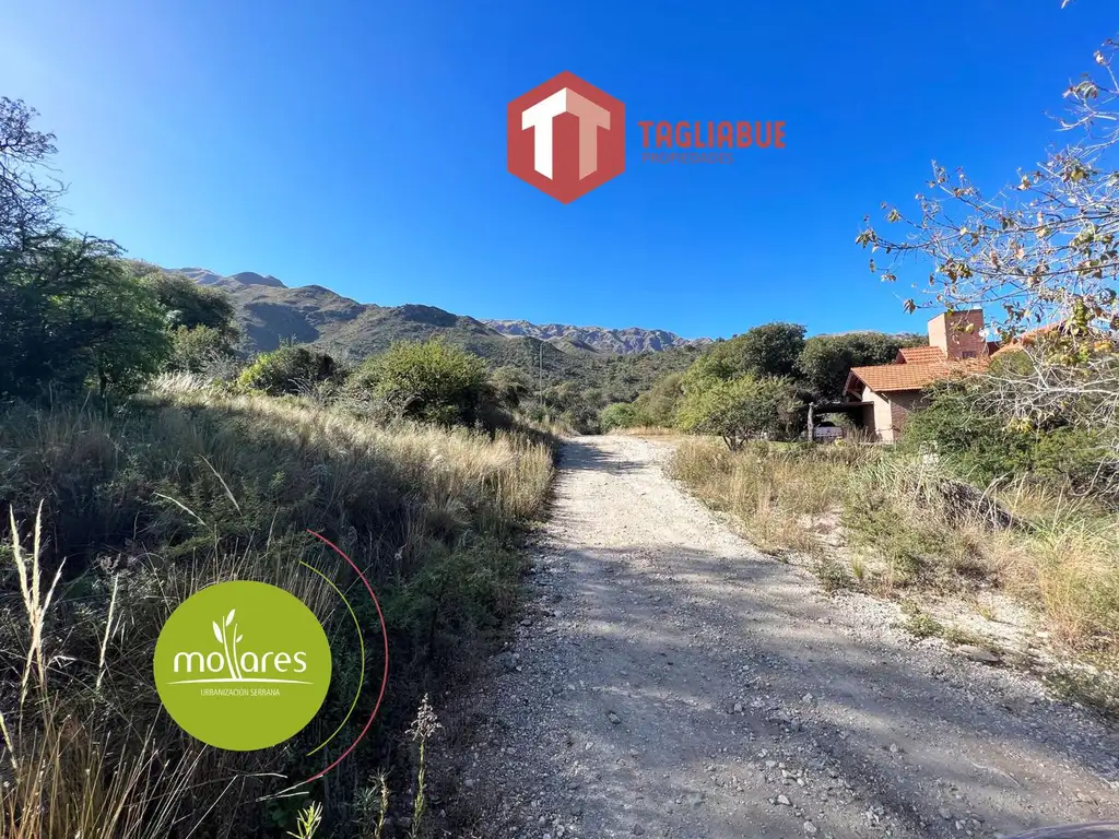 Los Mollares - LOTE 733