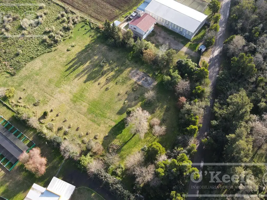 Terreno en abasto de 11900 m2 con fácil acceso,  oportunidad unica!