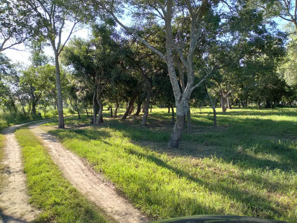 TERRENOS SOBRE LA COSTA DEL RÍO, INVERSIÓN IDEAL PARA DISFUTAR