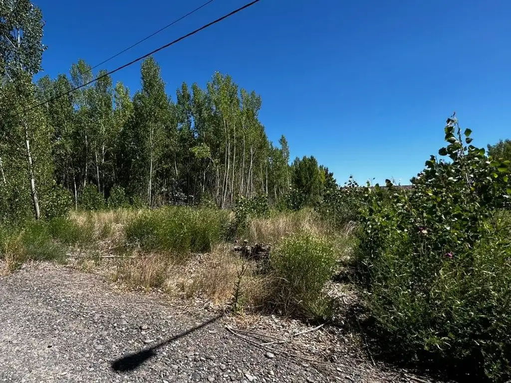 EN VENTA LOTE LA FORESTADA, AÑELO, NEUQUEN