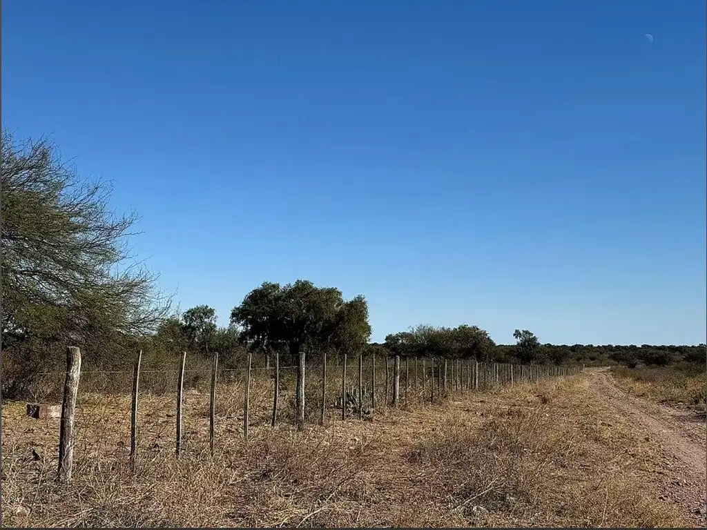 TERRENO DE 1.000 HA, en la Pcia de Santiago del Estero, Departamento Robles.