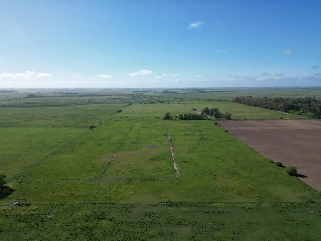 Campo de 4 HA en Ignacio Correas