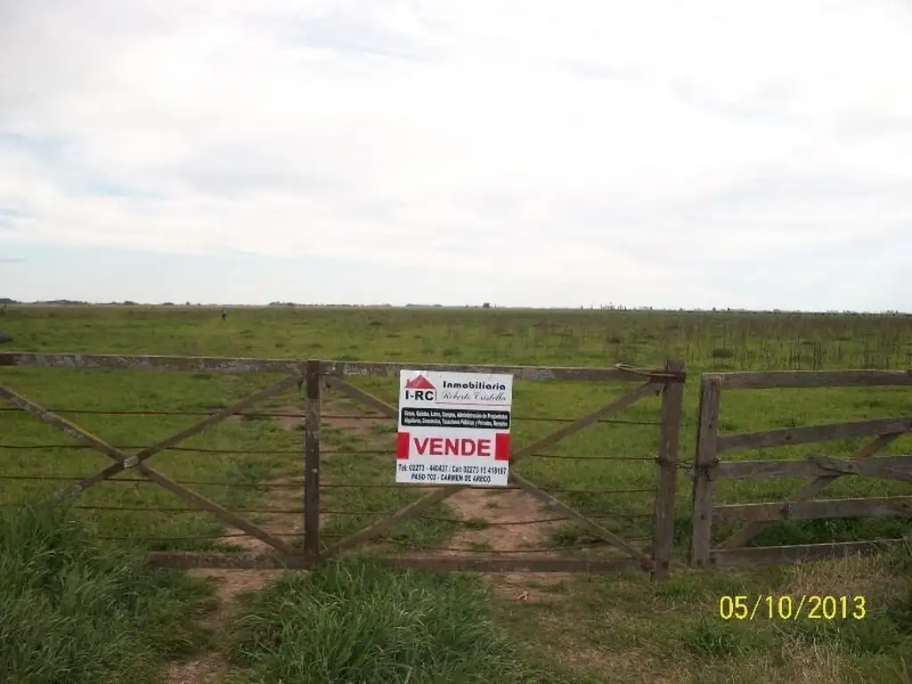 VENTA DE 115 HECTAREAS MIXTAS , EN CARMEN DE ARECO