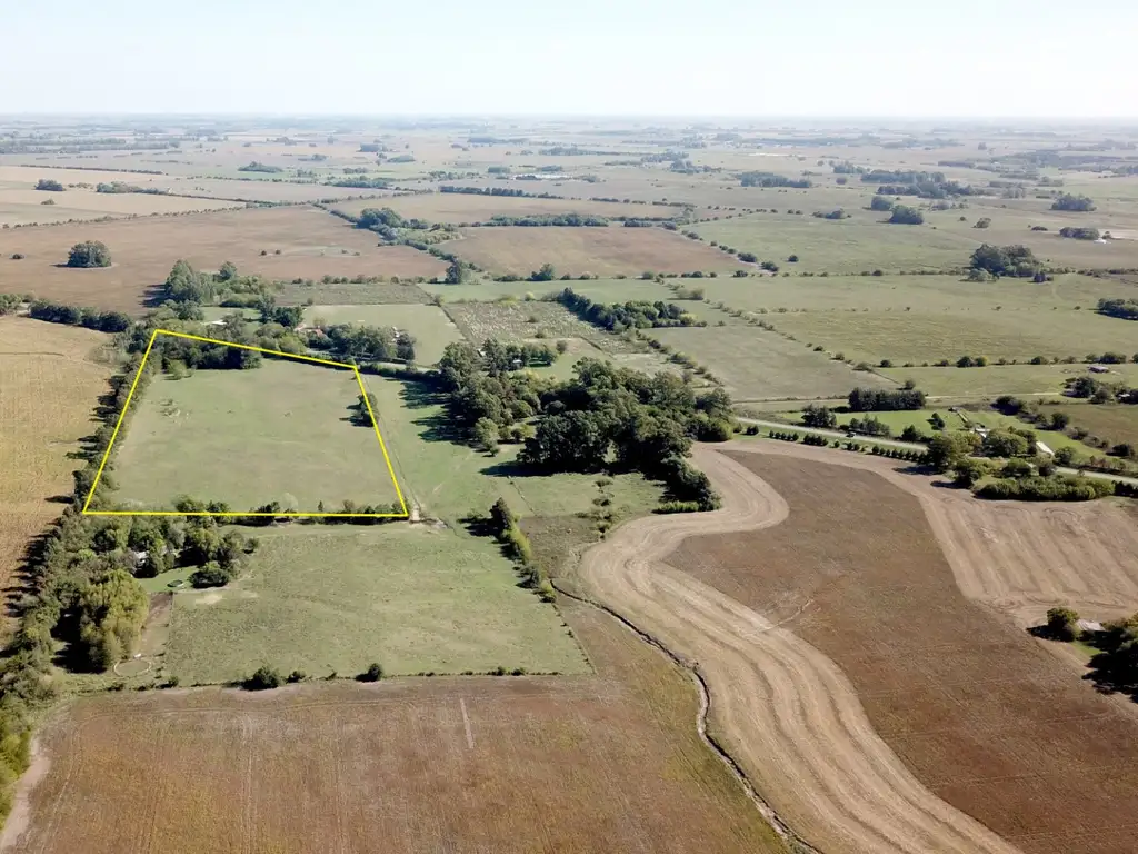 8,50 Has. Chacra con arboleda sobre ruta