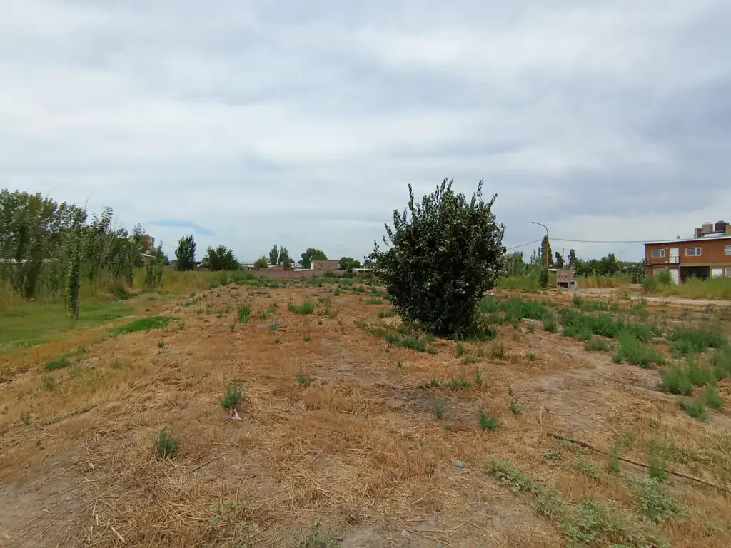 Terreno en  Portugal Sn, Cinco Saltos