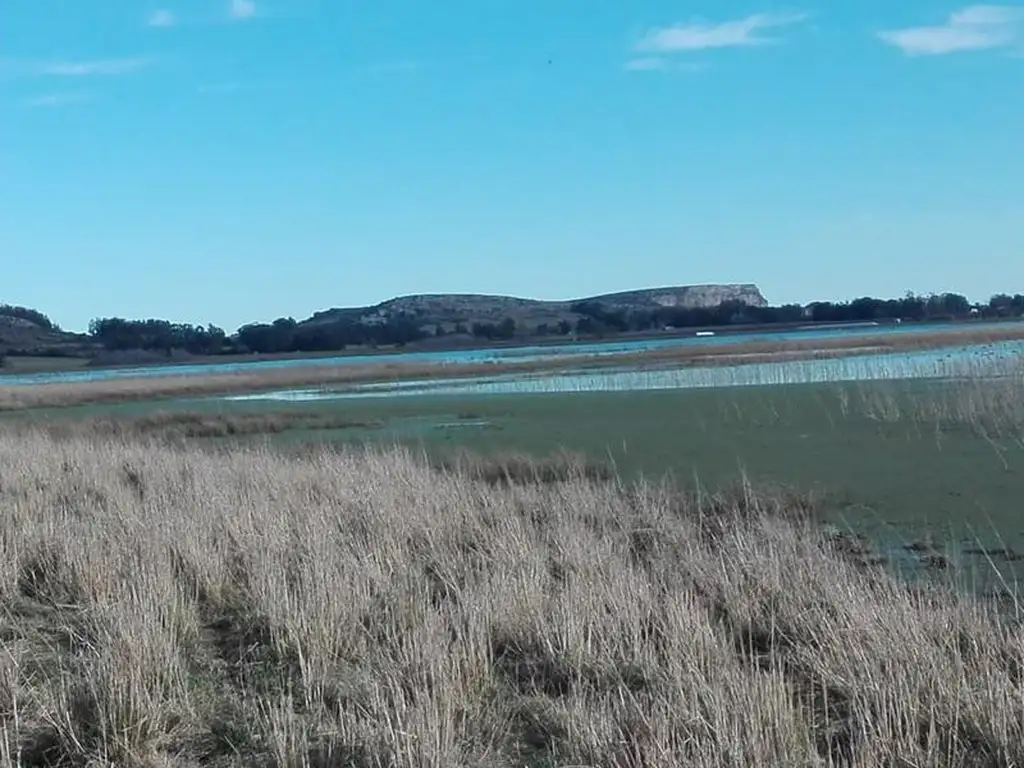 Campo de 109 ha con laguna natural