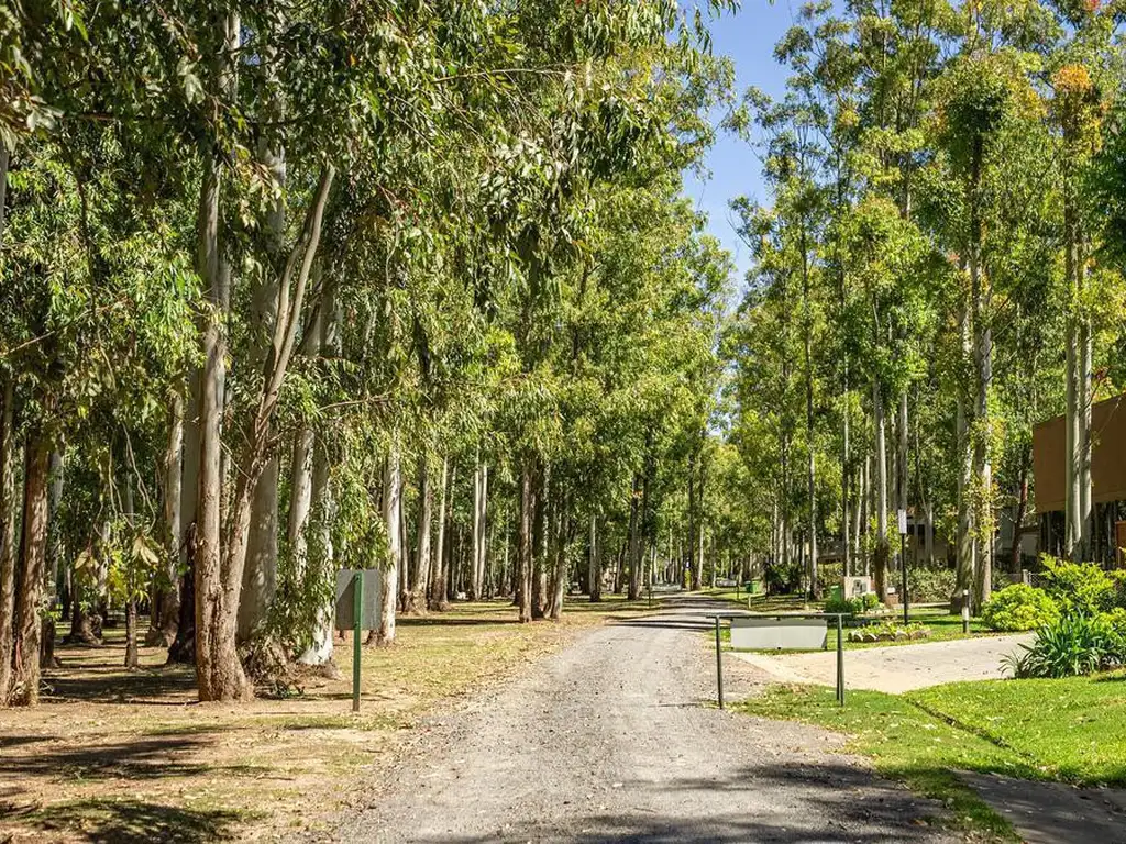 Terreno en  Puerto Paraiso - Barrio Cerrado - Gran Arboleda - Bajada al rio