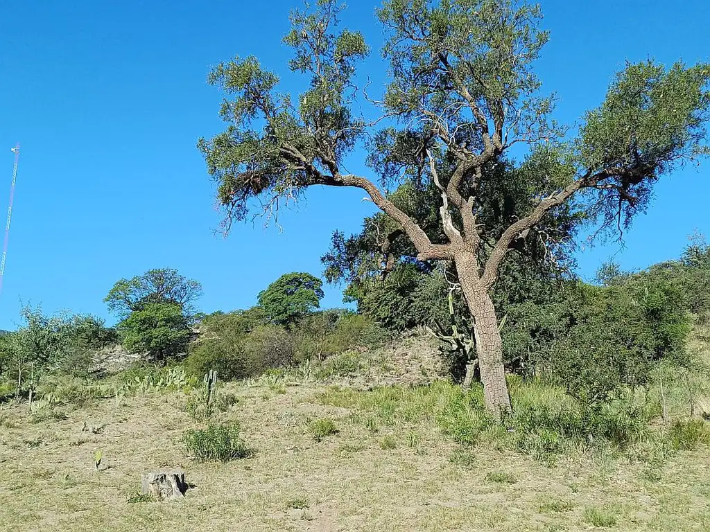 ALOJA - Vendo terreno de 1.000m² o 2.000m² en Casa de Piedra, Río Quilpo. San Marcos Sierras