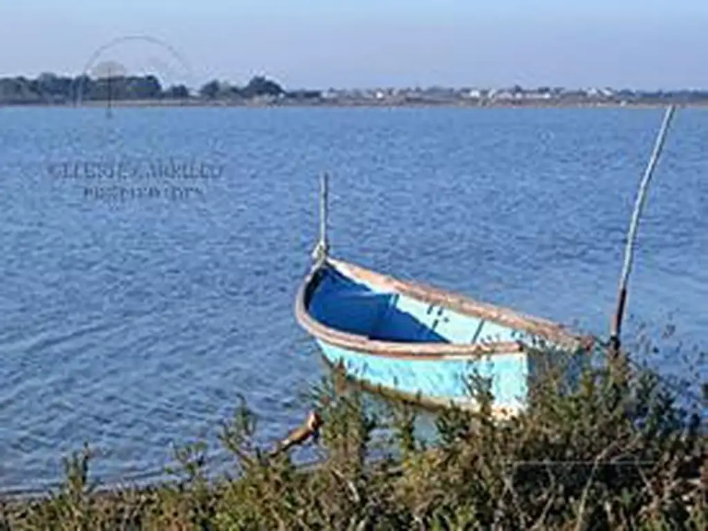 Amarra - Tigre