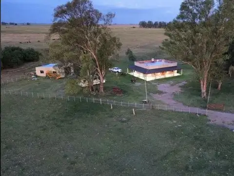VENTA, de campo cercano a la entrada al pueblo ce General Alvear, Buenos Aires.