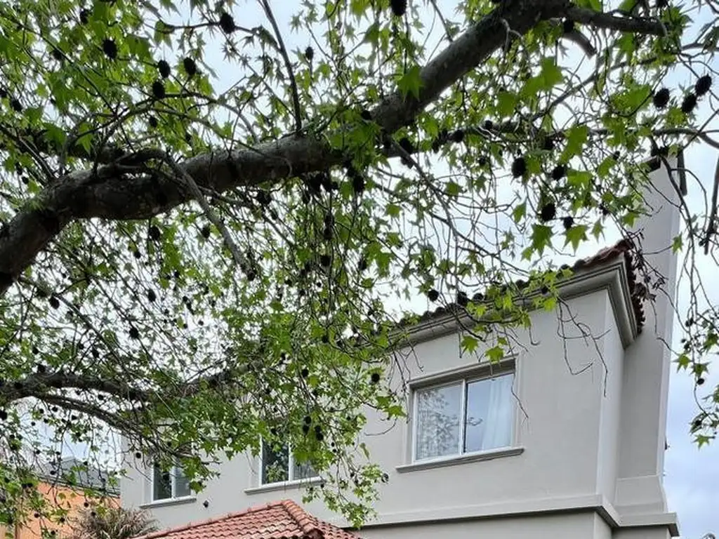 Casa en Alquiler en Barrio Los Jazmines, Pilar Del Este