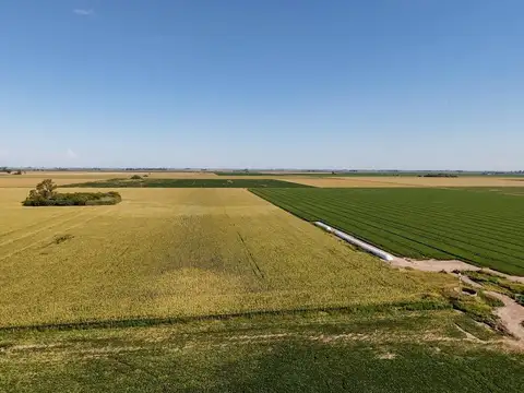 SE VENDE CAMPO AGRICOLA DE 12,77HA