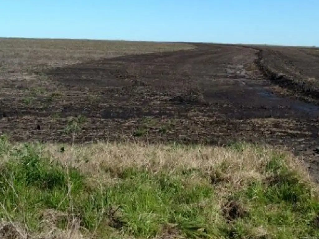 Terreno Campo  en Venta ubicado en Río Negro, Río Negro - TRA0014_LP308140_1