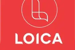 Loica