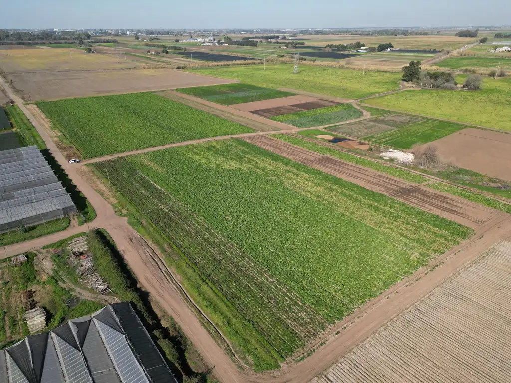 VENTA/PERMUTA/FINANCIACION - Campo - Rosario