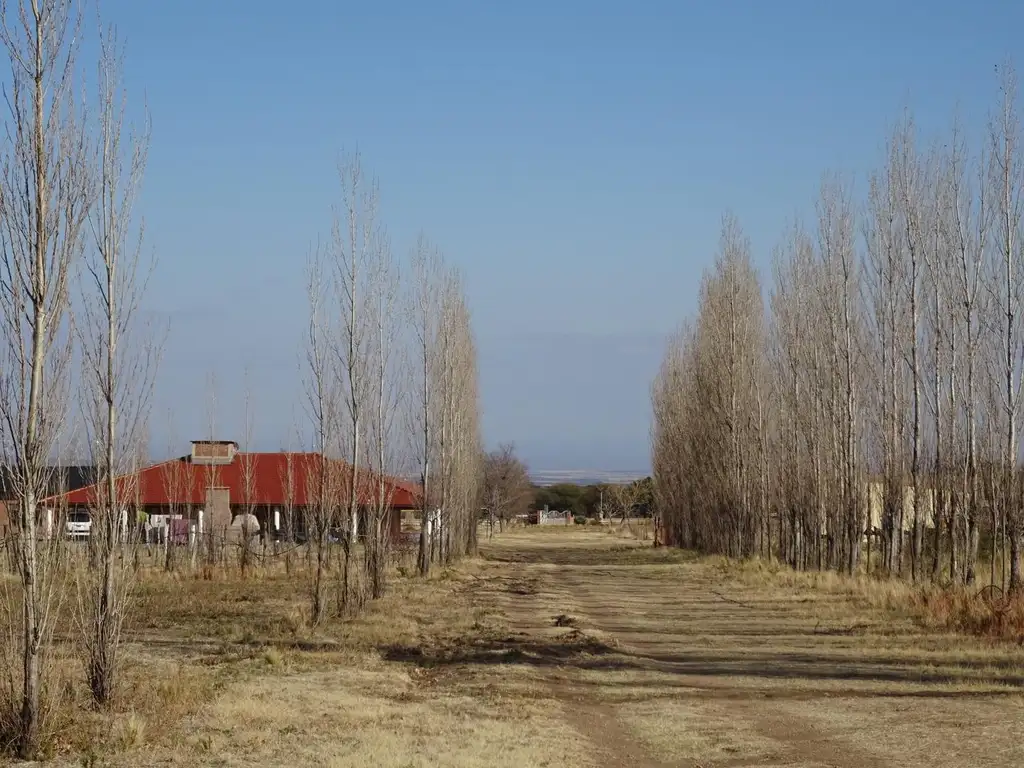 Campo con loteo en venta con vivienda restaurante y viñedos