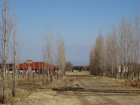 Campo con loteo en venta con vivienda restaurante y viñedos