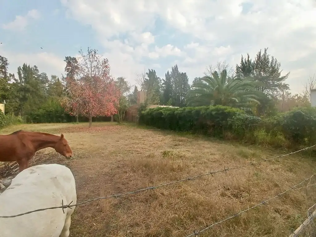 VENTA TERRENO CON ESCRITURA 1000M2 EN PASO DEL REY BARRIO BONGIOVANNI - A METROS DE COLECTORA