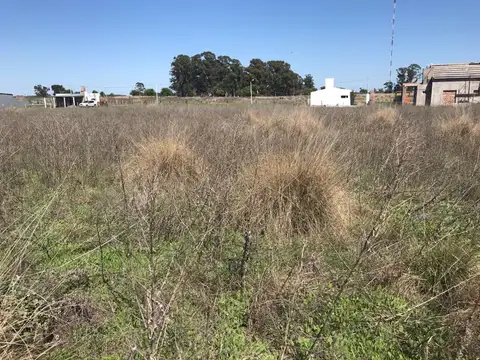 Terreno en calle Alsina .  La Gloria - La Pampa