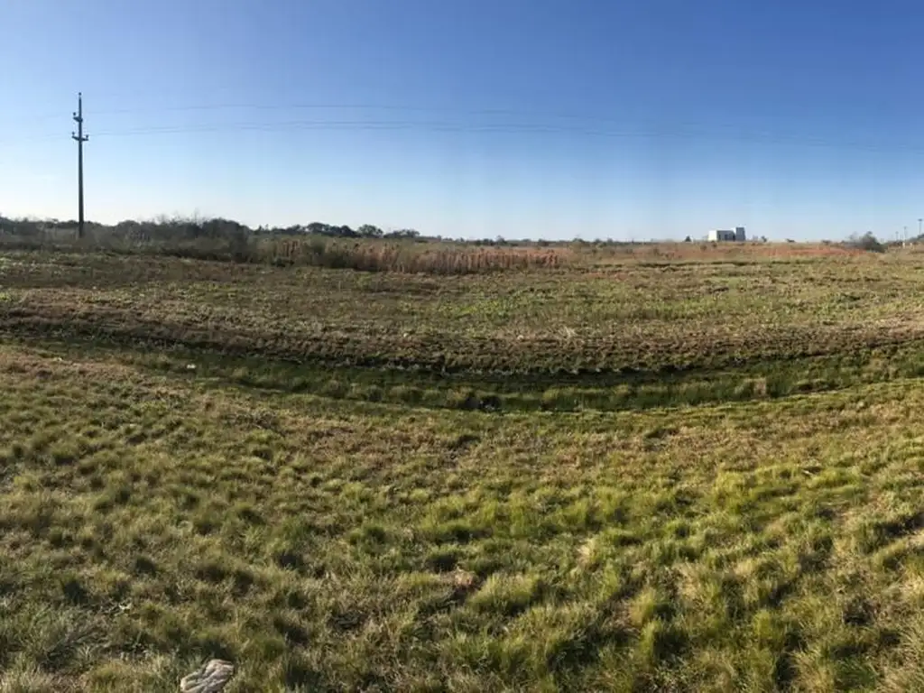 Lote - Venta - Argentina, Nogoyá