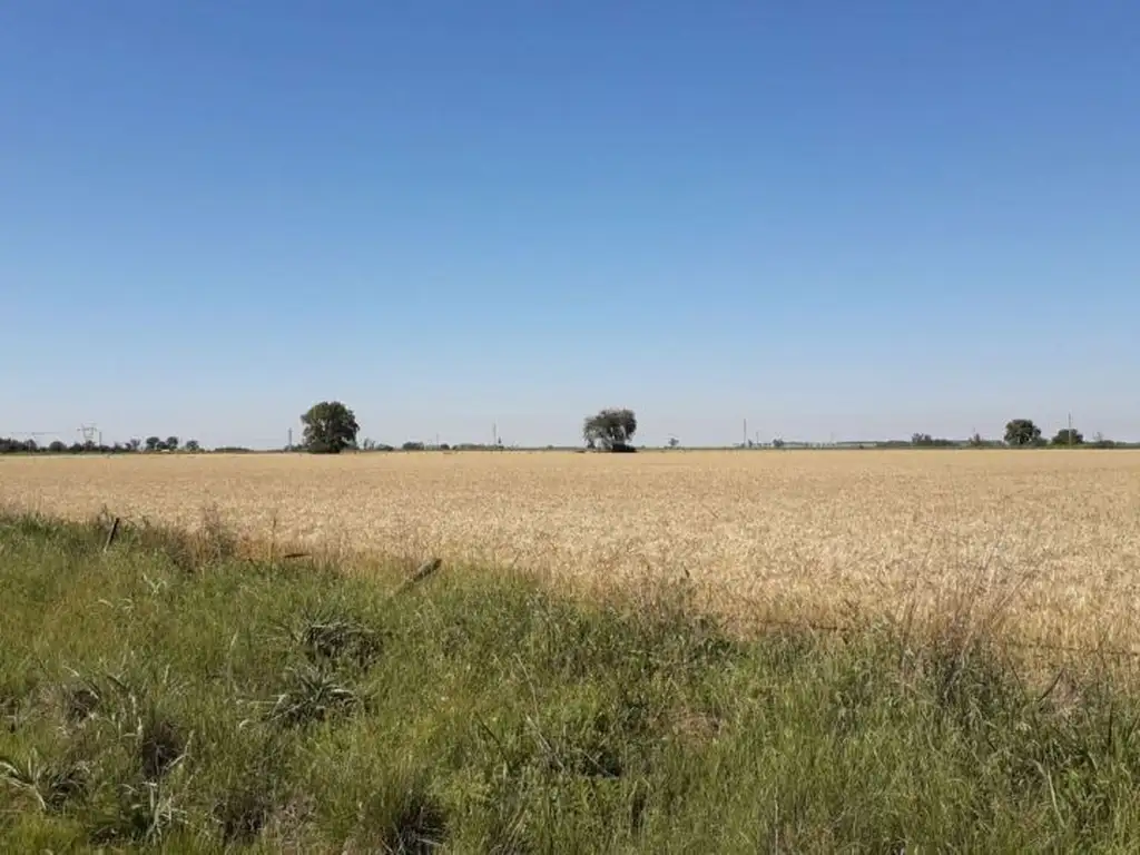 CAMPO EN ALDAO 7.3 hectáreas para emprendimiento a 600 metros del pueblo