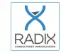 RADIX Consultores Inmobiliarios