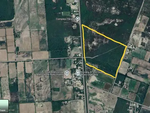 VENTA DE CAMPO EN DEPARTAMENTO ROBLES