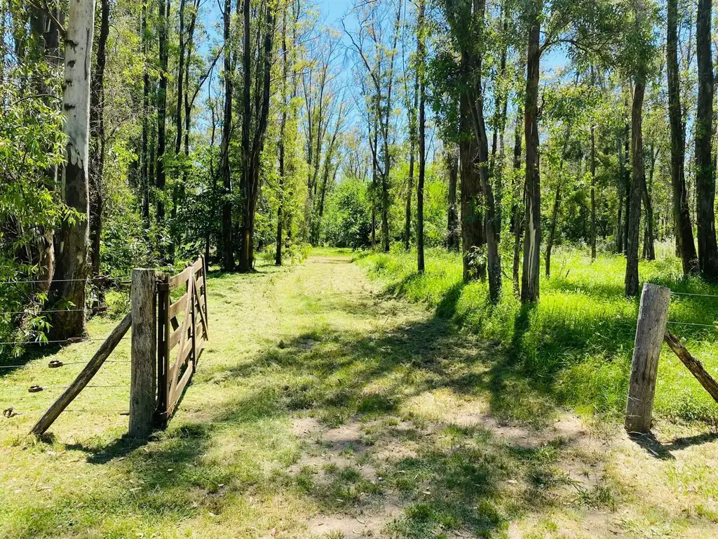 Terreno en Estancia Estrella Federal, Ramallo