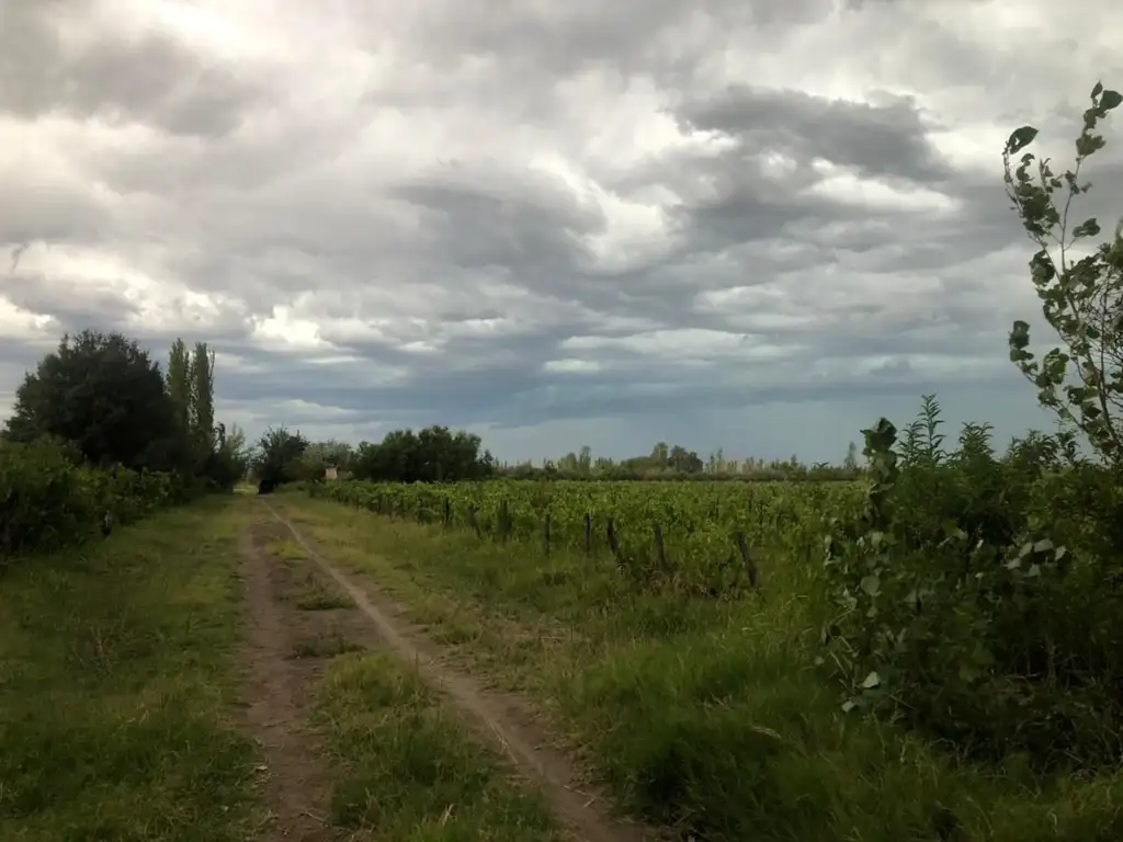 Venta Finca en Monte Comán