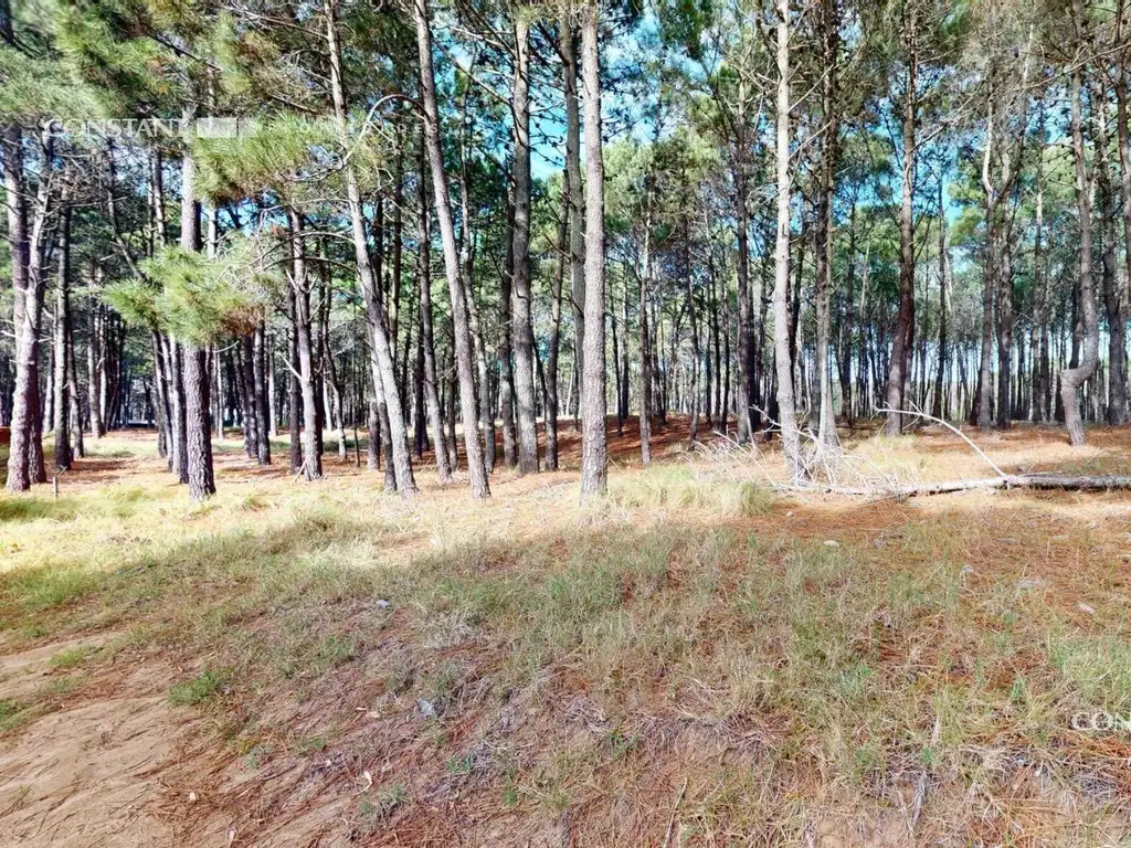 Terreno en  VILLAROBLES - BARRIO BRISAS